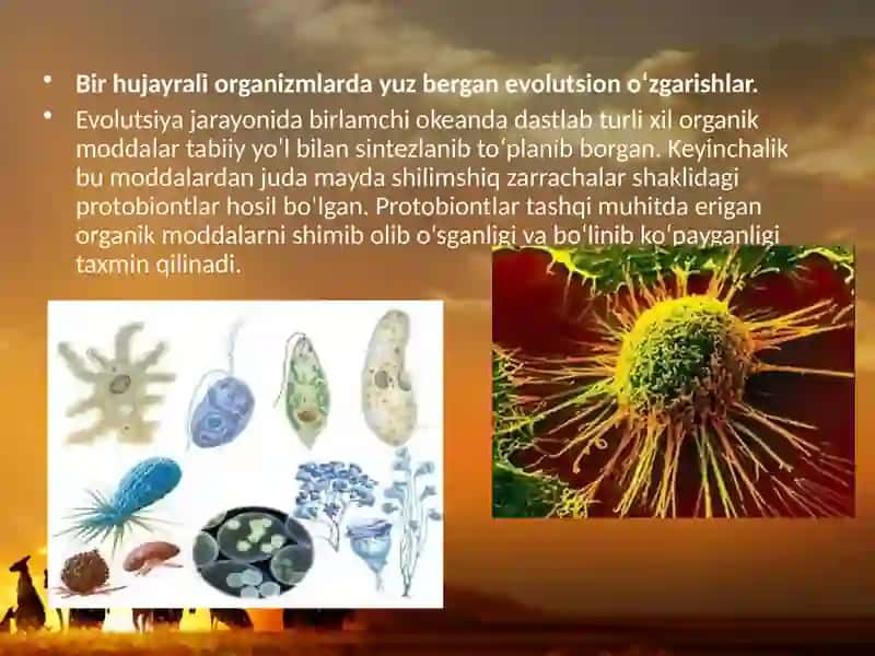 Hayvonotdunyosidagi evolutsiono‘zgarishlar 4