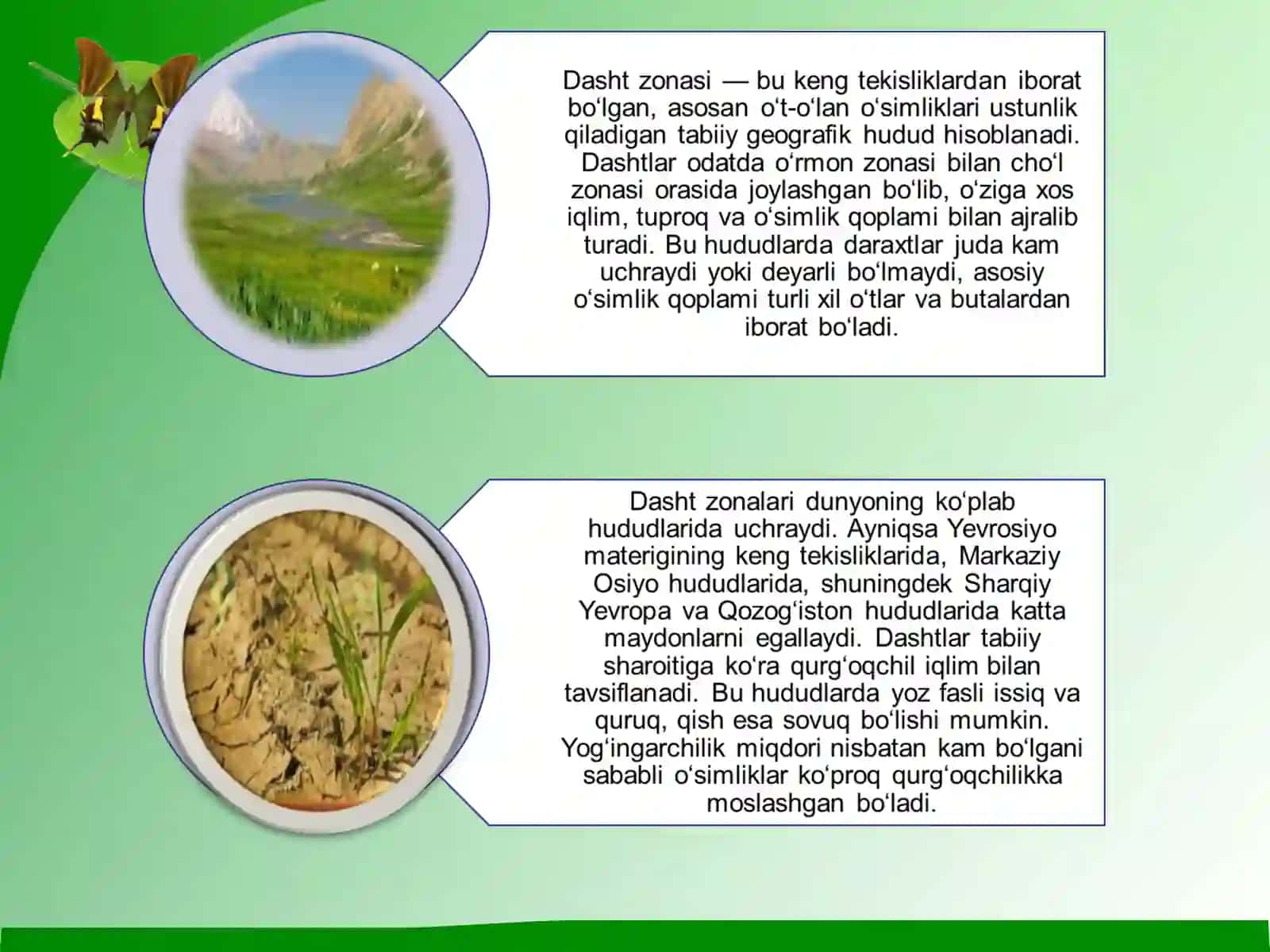 Dasht zoʻnasi oʻsimliklari 4