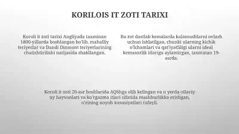 Korilois iti 4