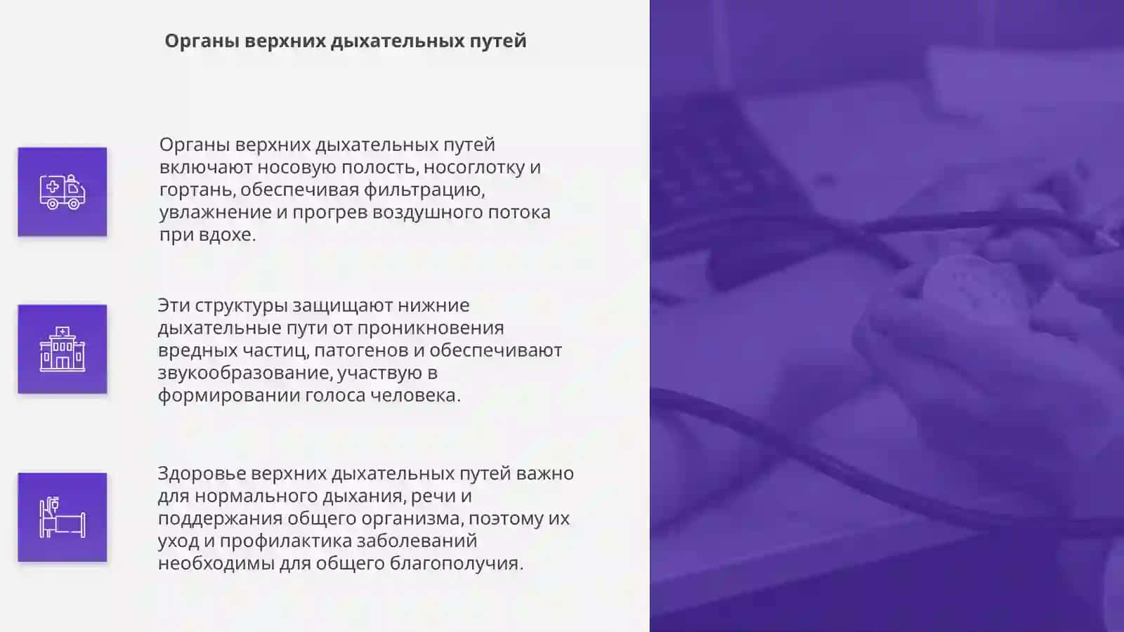 Система органов дыхания 4