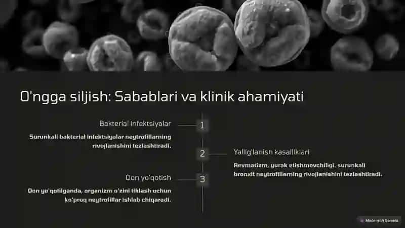 Patologik Leykositar Formula: Kirish 4