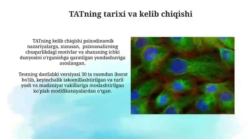 Tematik appersepsion testi 4