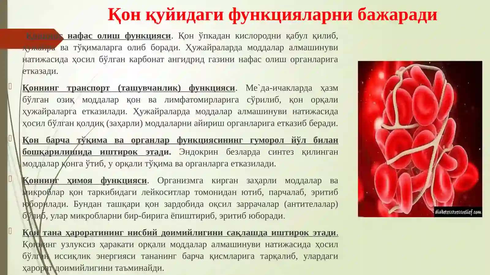 Tibbiy tayyorlov fani: Qontomir tizimi 4
