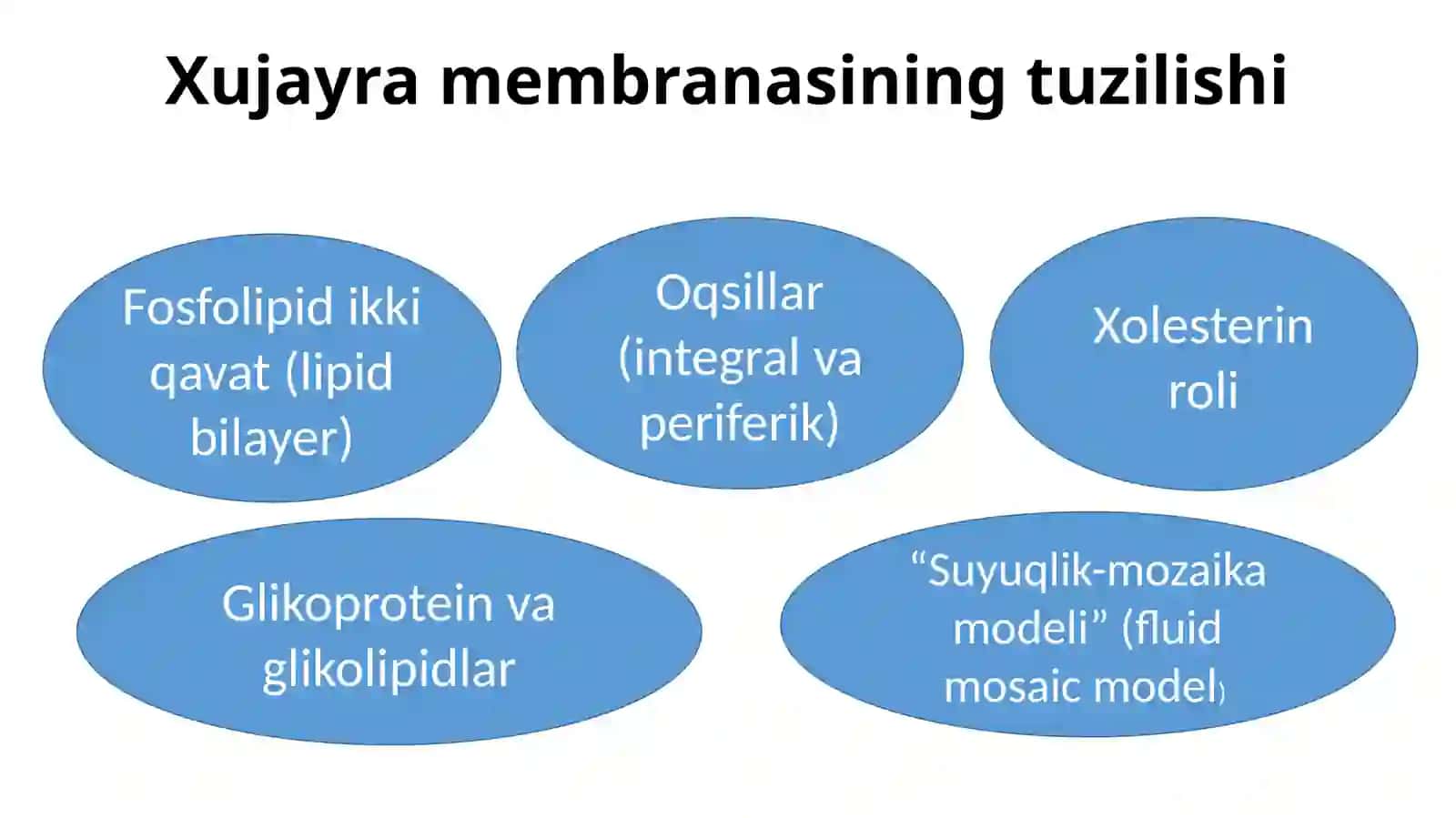 Xujayra membranasi tuzilishi va funksiyasi. Membrana potensiali 4