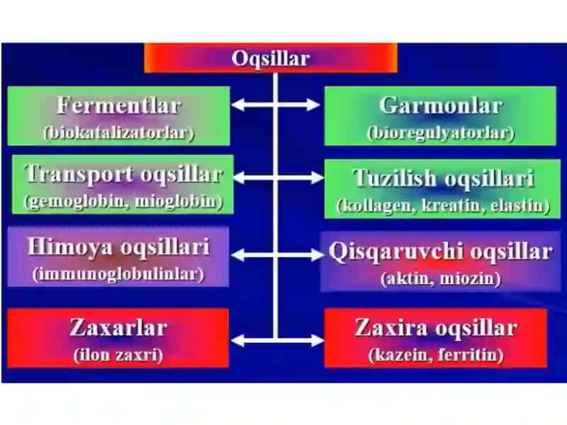 OQSILAR 4