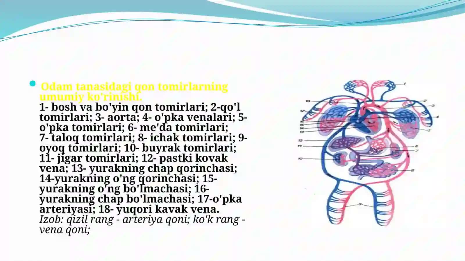 Qonaylanish sistemasining fizika asoslari 4