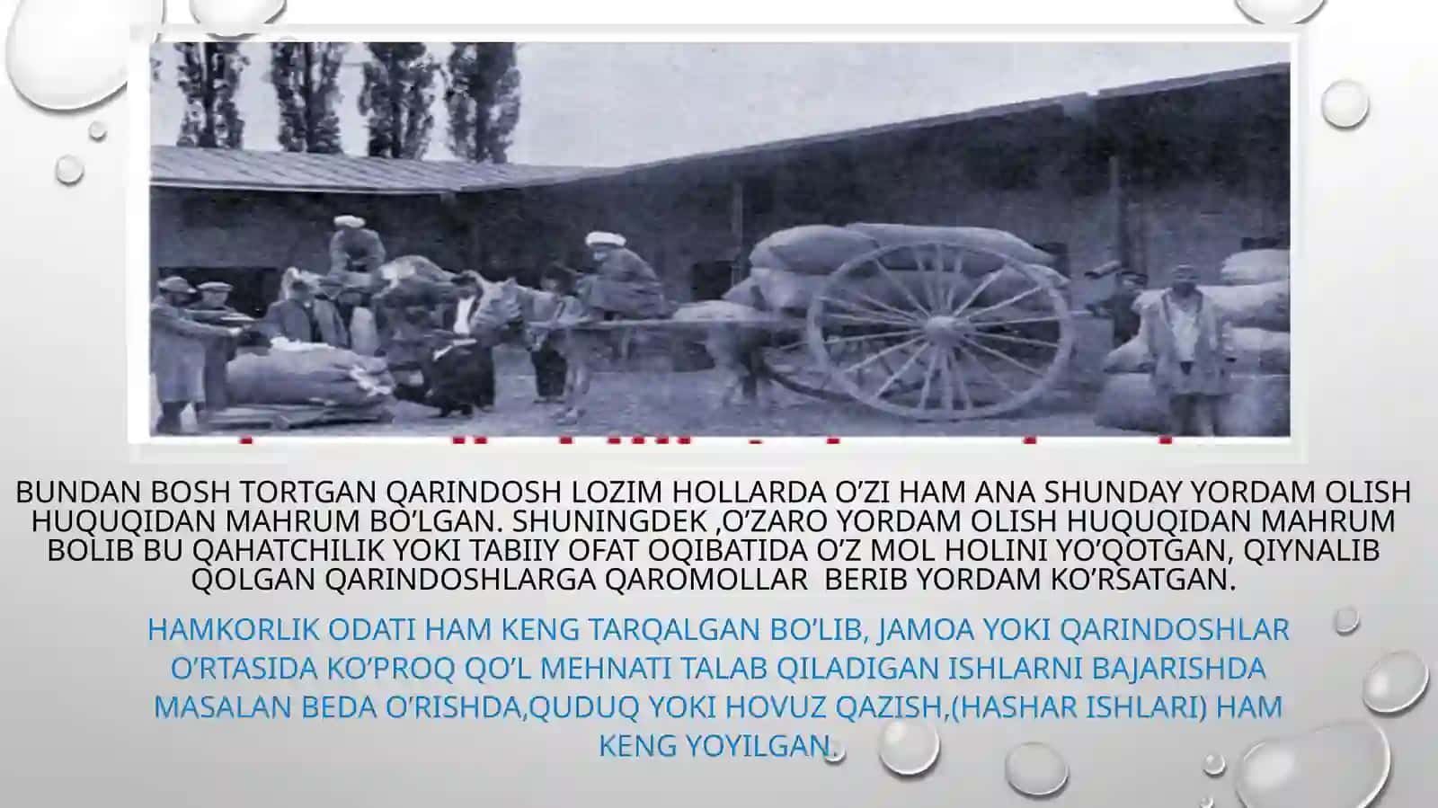 ashtarxoniylar ijtimoiy-iqtisodiy hayoti. Ubbaydullaxonning pul islohoti. 4