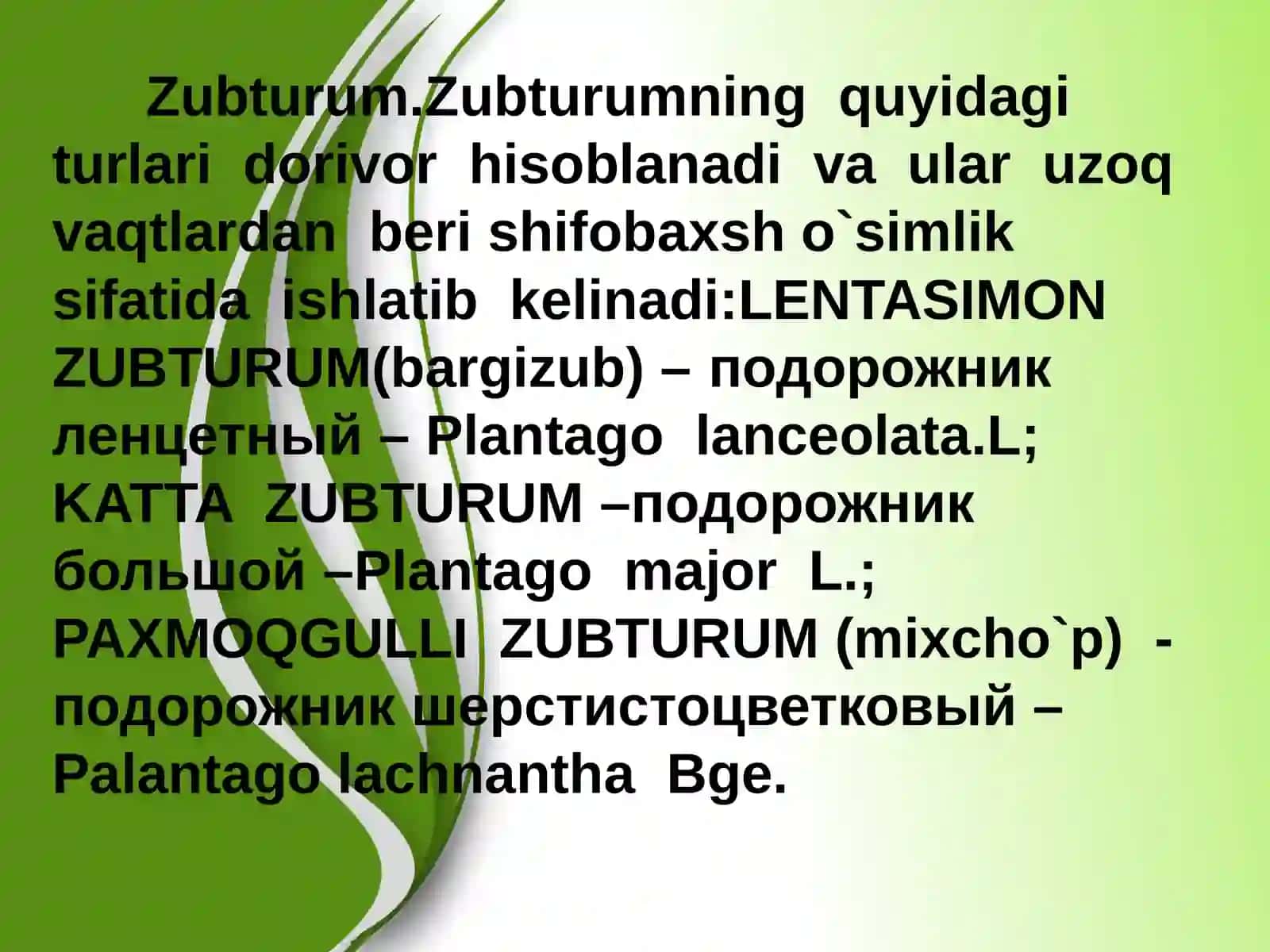 Dorivor o`simliklar 4