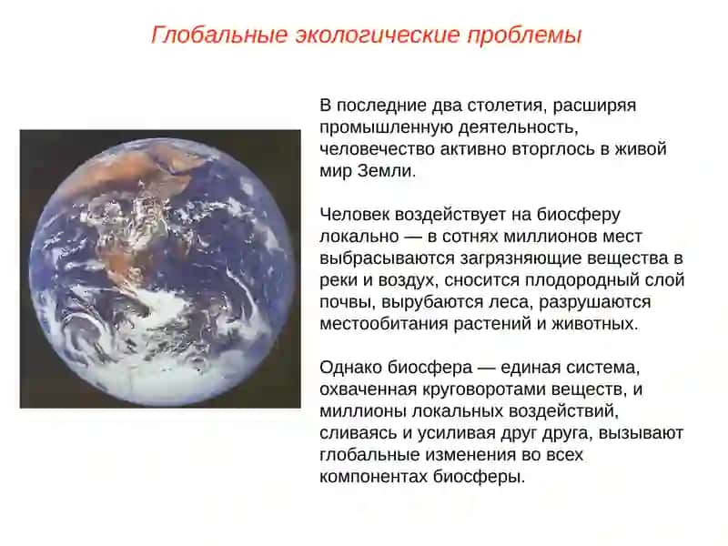Глобальные экологические проблемы 4