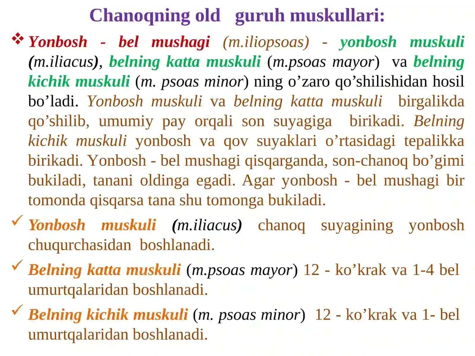 Miologiya. Oyoq muskullari 4