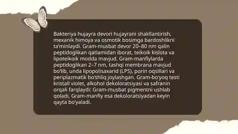 Prokariot hujayralari.Bakteriyalar 4