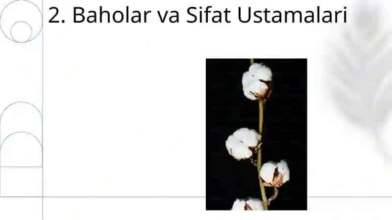 Paxta to'lasi narxi 4