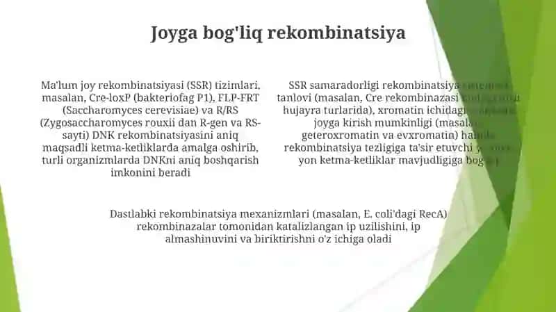 DNK rekombinatsiyasi 4