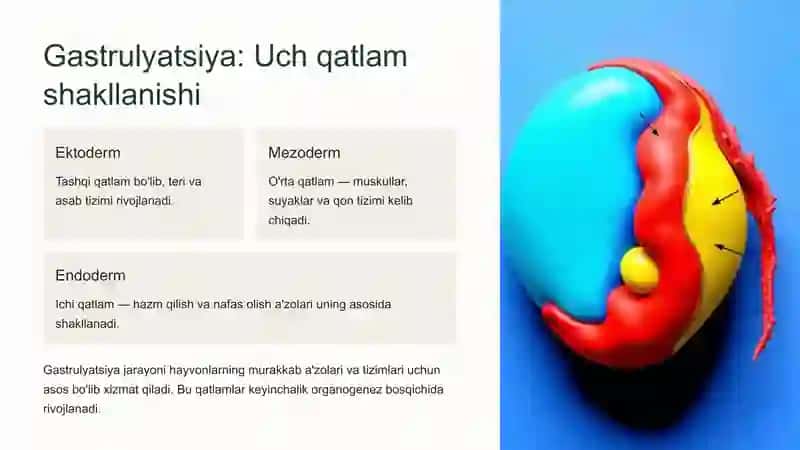 Rawajlaniw biologiyasi 4