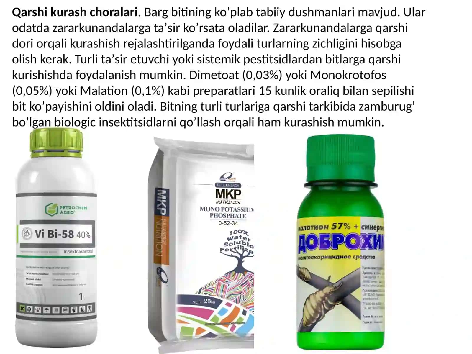 OLXOʼRI ZАRАRKUNАNDА VА KАSАLLIKLАRIGА QАRSHI KURАSH 4