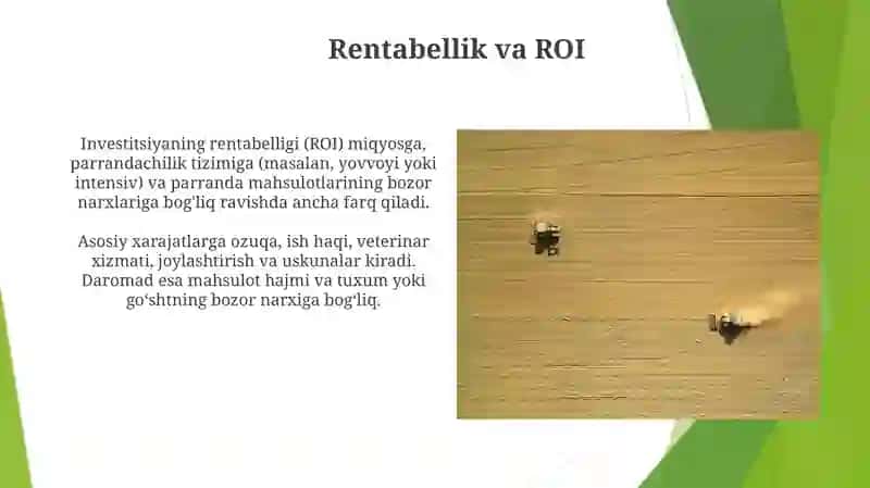 Chorvachilik tarmoqlari iqtisodiyoti 4