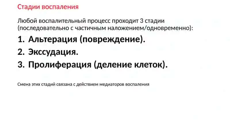 Воспаление 4