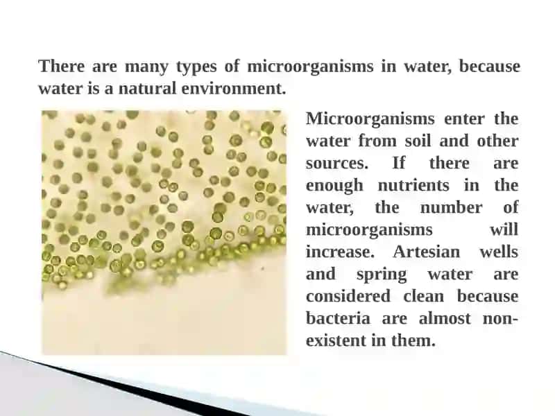 Distribution of microorganisms in nature 4