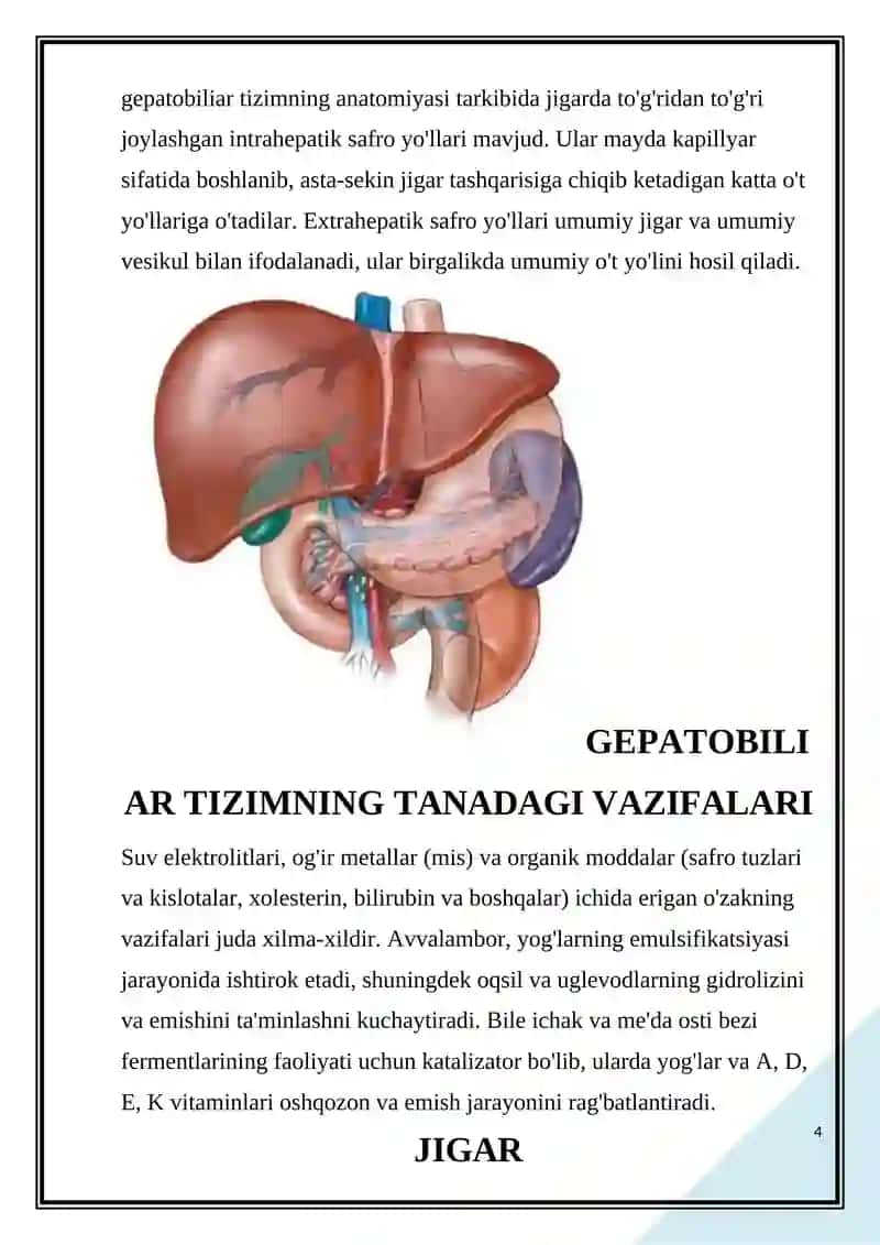 Gepatobiliar tizim kasalliklari 4