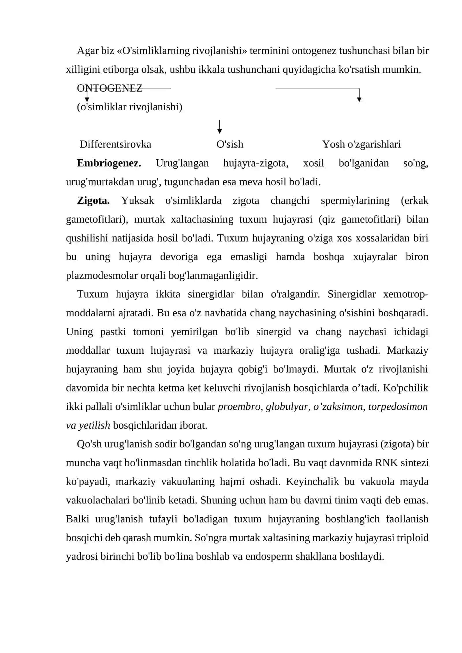 Ontogenez va uning bosqichlari 4