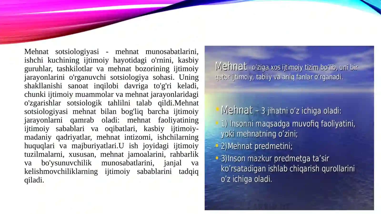 Mehnat sotsiologiyasining predmeti 4