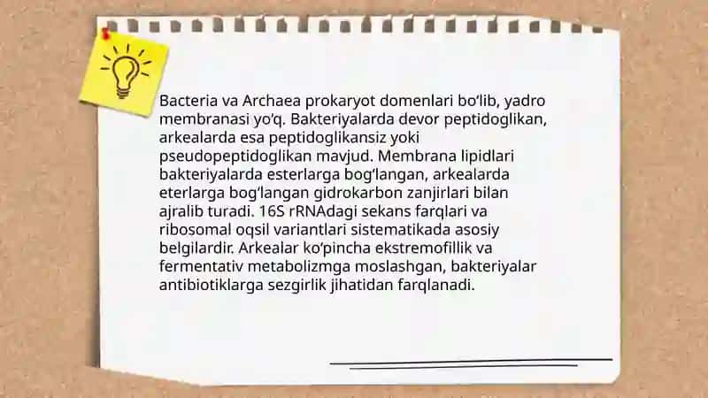 Prokariotlarning sistematikasi 4