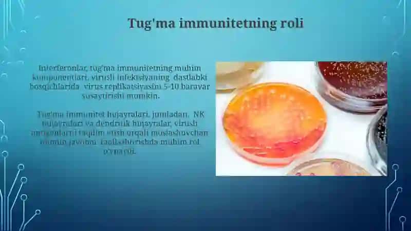 Virusli Kasalliklar Patogenezi 4