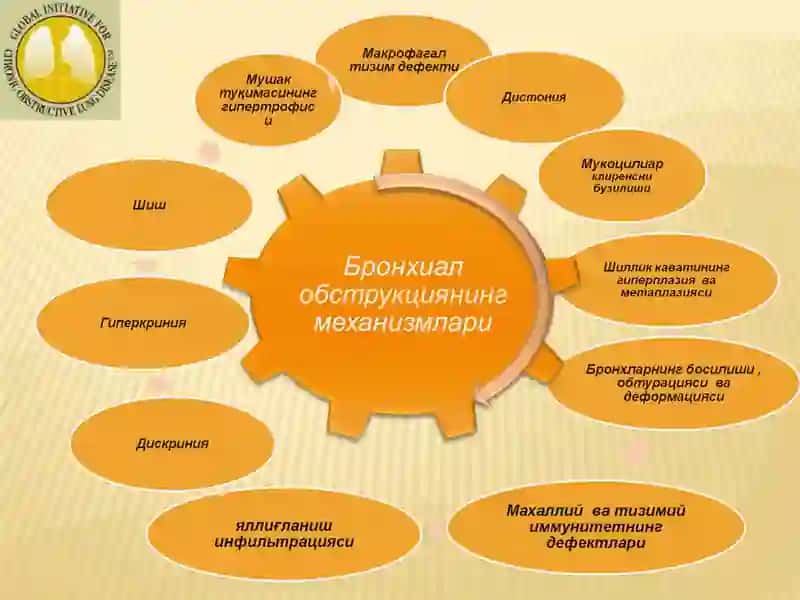 БРОНХО ОБСТРУКТИВ СИНДРОМ ҚИЁСИЙ ТАШХИСИ.ДАВОЛАШ. УАШ ТАКТИКАСИ 4