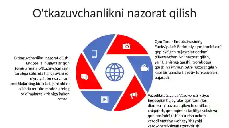 Qon Tomir Endoteliyasining Funksiyalari 4