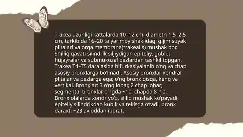 Nafas olish tizimlari 4