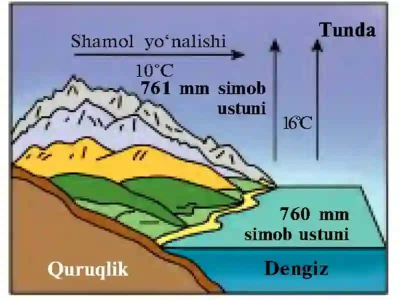 Shamollar va havo massalari. 4