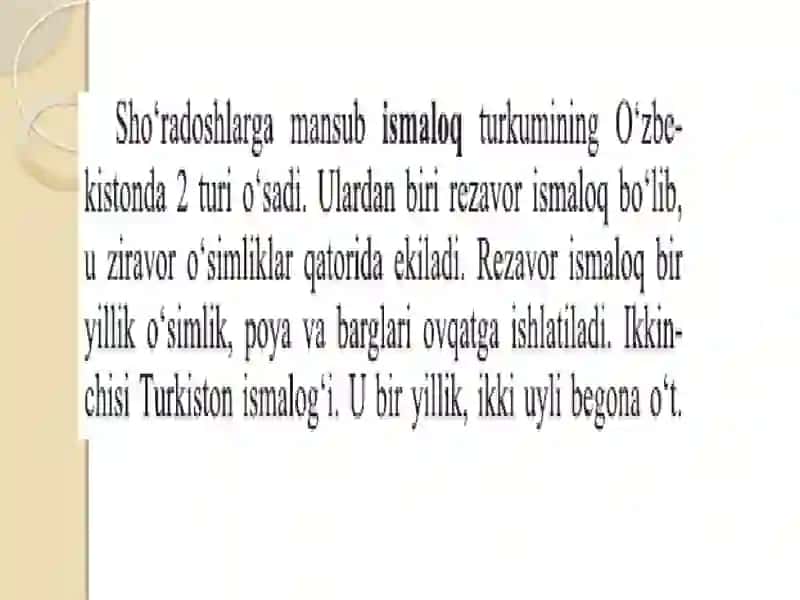 Sho`radoshlar oilasi 4