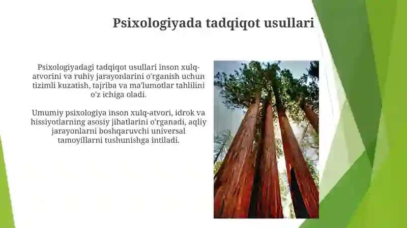 Umumiy Psixologiya va O'zaro Ta'sirlar 4