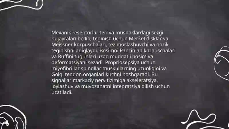 Hayvonlarning sezgi aʼzolari, sensor (qabul qilish) mexanizmlari 4