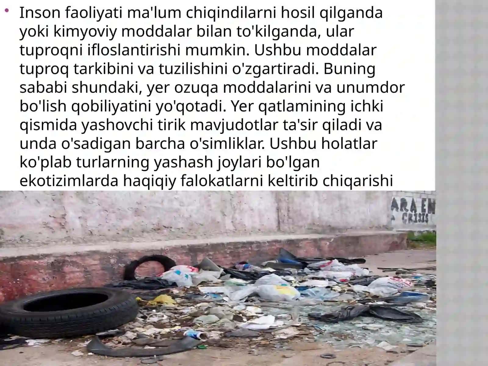 Tuproqni himoya qilish 4