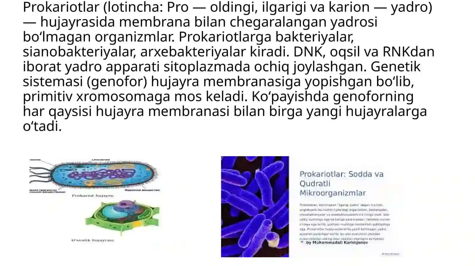 Tibbiyaxborottexnalogiyalari 4