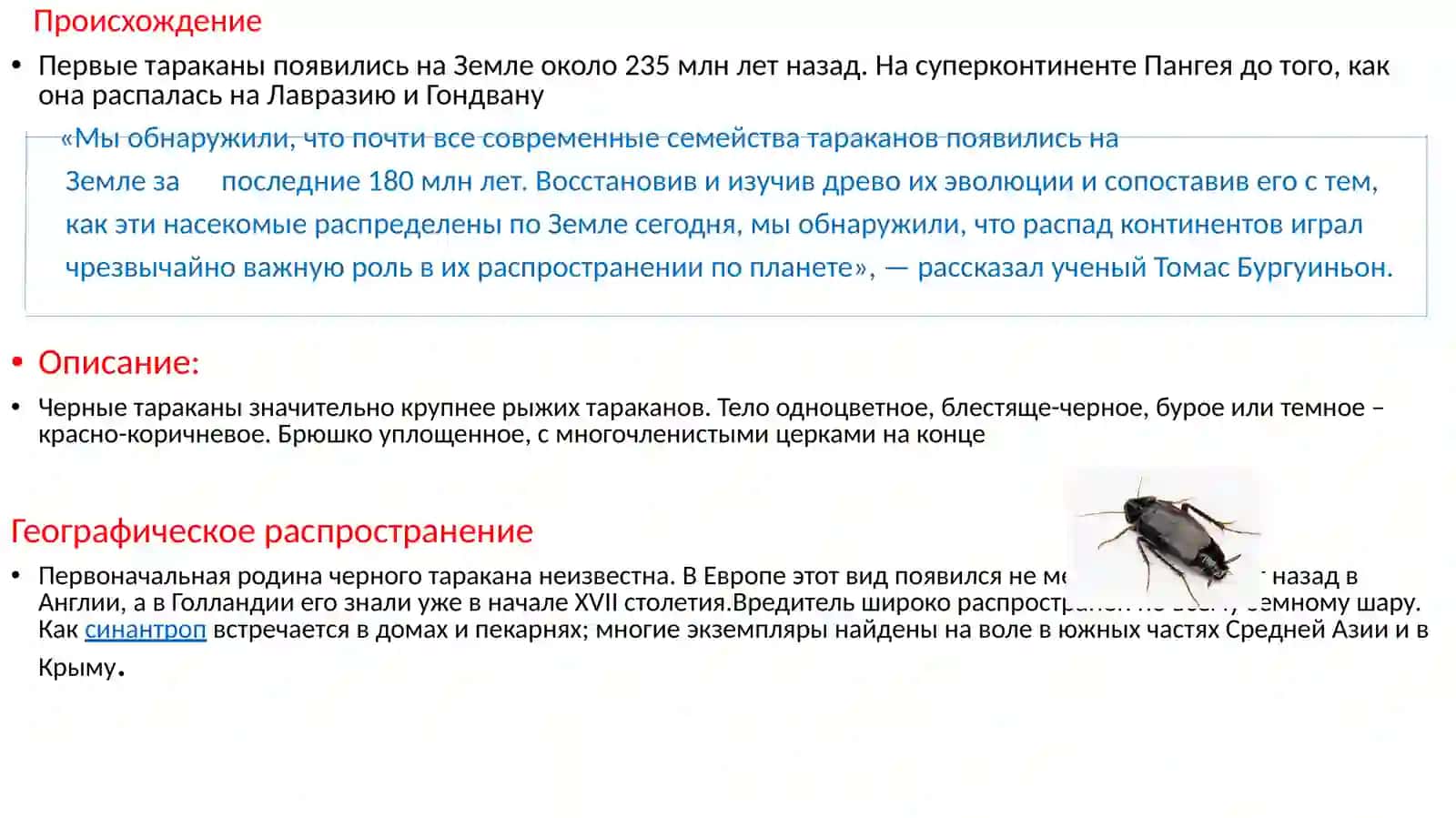 Презентация на тему:«Насекомые» 4