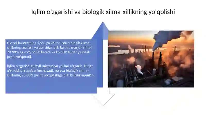 Ekologik muammolar 4