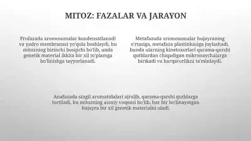 Hujayralarning bòlinishi. Mitoz. Meyoz. Amitoz 4