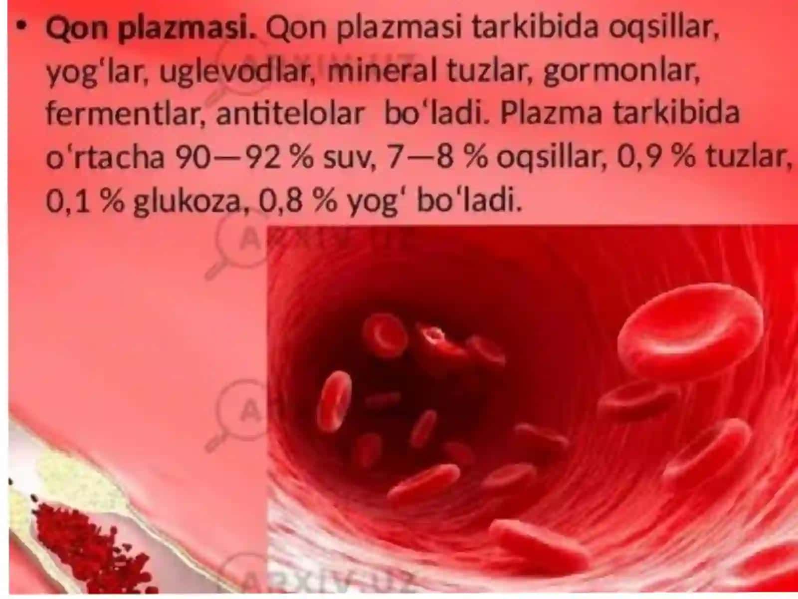 TRANSFIZIOLOGIYAFANIDANMUSTAQILISHI 4