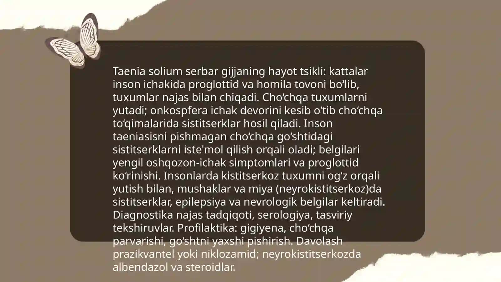 Pakana gijja, Serbar gijja, Exinokokk 4