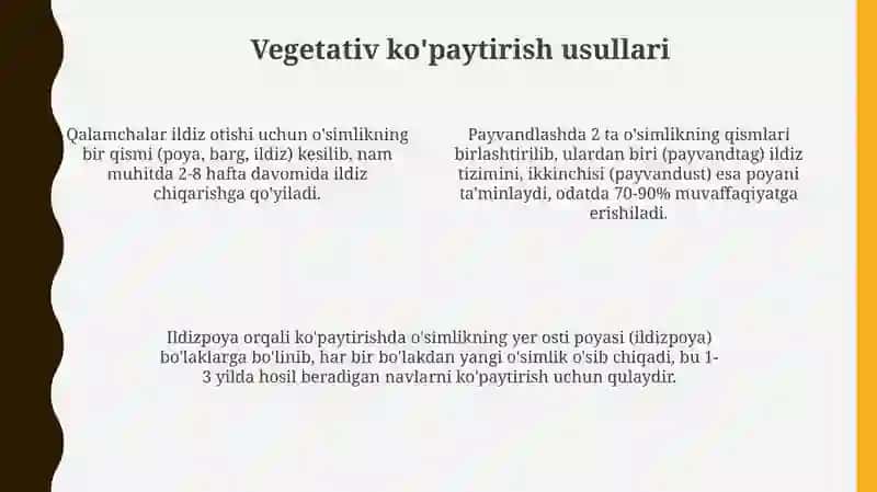 Vegetativ ko'paytirish 4