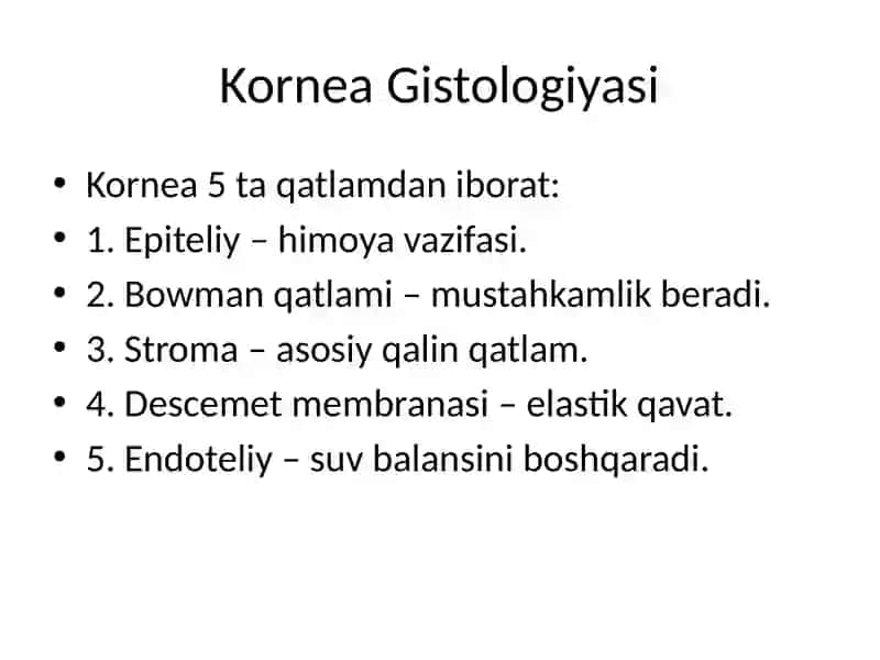 Ko‘z Gistologiyasi 4