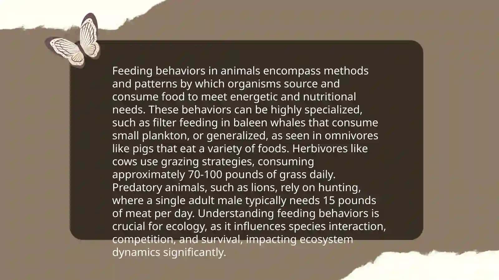 Animal Habitats 4