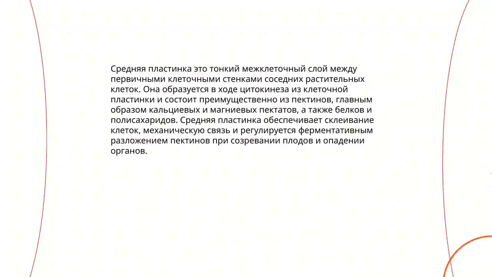 Строение растительной клетки 4