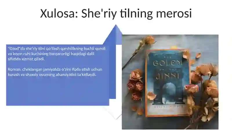 "Ozod" romanida poetik til masalasi 4