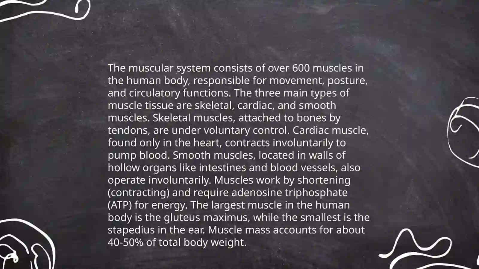 Skeletal System 4