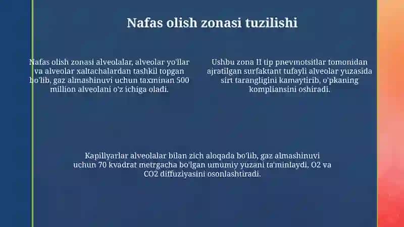 Nafas azolaring umumiy morfofunksional tavsifi 4
