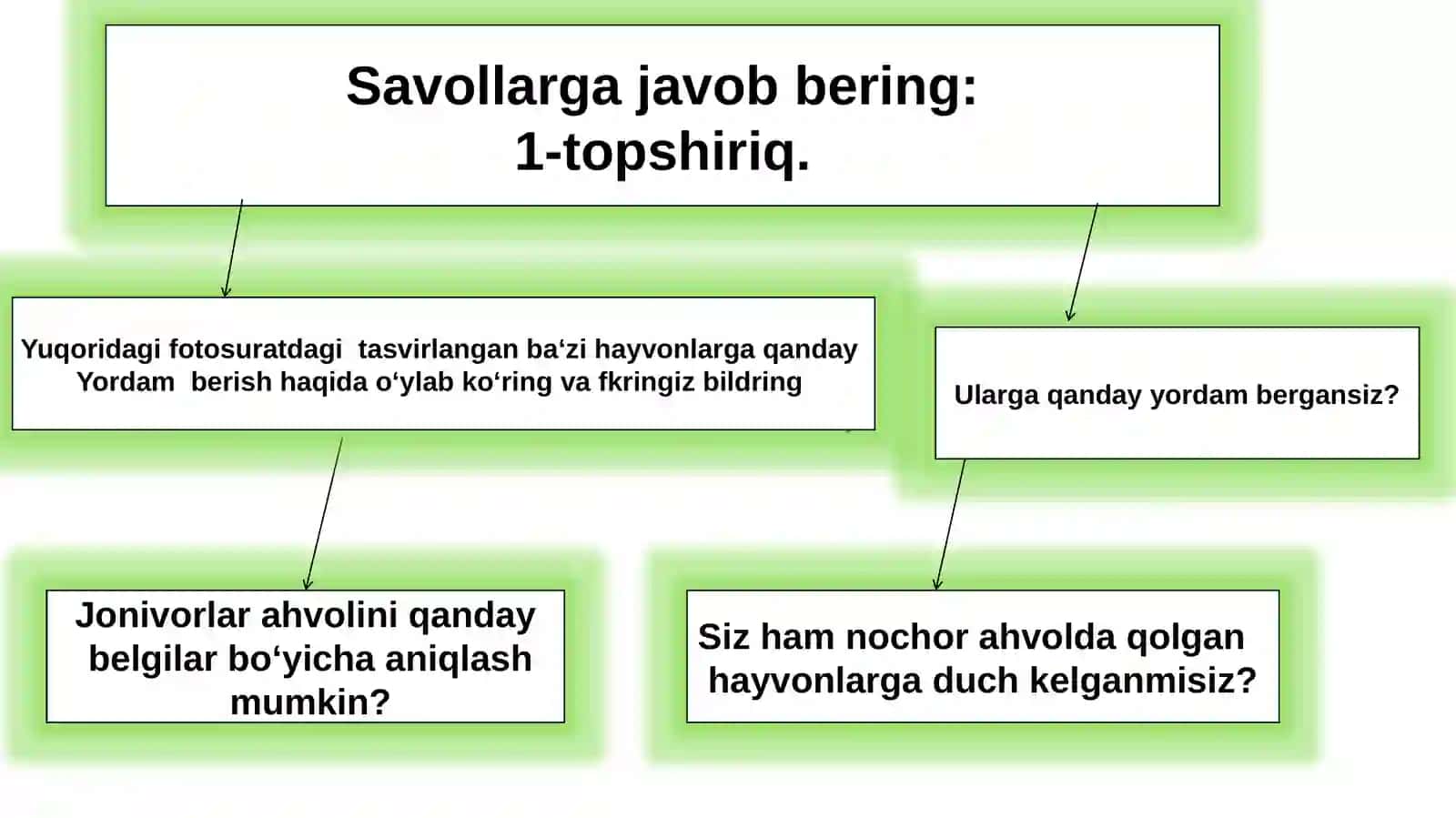 JONIVORLARGA G‘AMXO‘RLIK QILISH 4