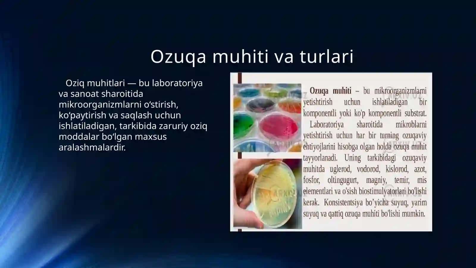 Mikroorganizmlarning kulturasining biotexnologik jarayonlari 4